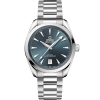 Seamaster Aqua Terra Shades 38 mm, acier sur acier - 22010382003003