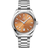 Seamaster Aqua Terra Shades 38 mm, acier sur acier - 22010382012001